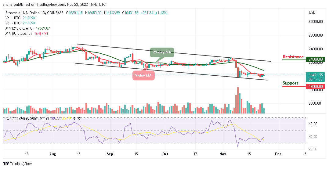 Bitcoin Price Prediction for Today, November 23: BTC/USD Showing Bullish Signals
